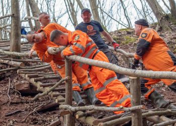 відновлюють