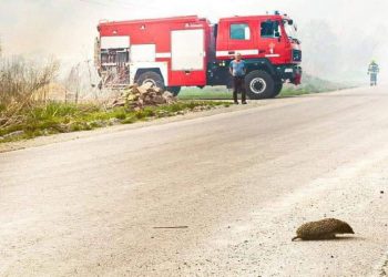 гасіння пожежі