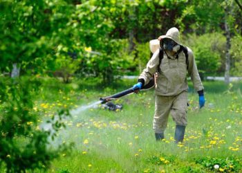 очищення парків