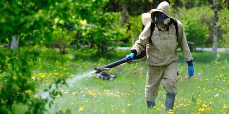 очищення парків