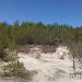 незаконний карєр