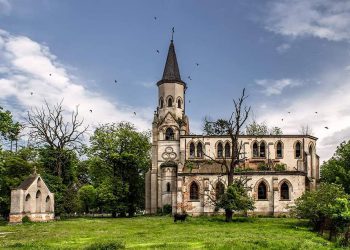 проект відновлення