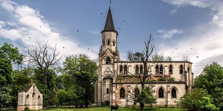 проект відновлення