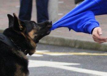 напав на дівчинку