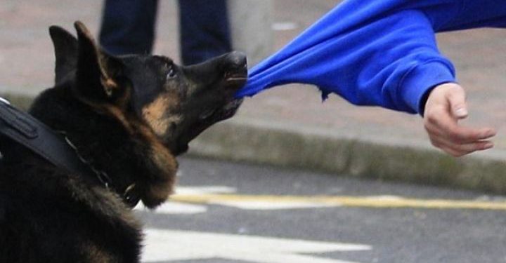 напав на дівчинку