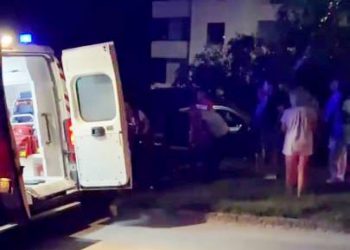 впало дерево