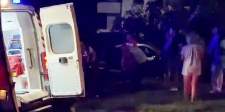 впало дерево