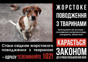 жоростоке