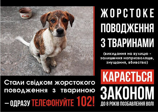 жоростоке