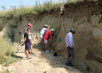 дослідники