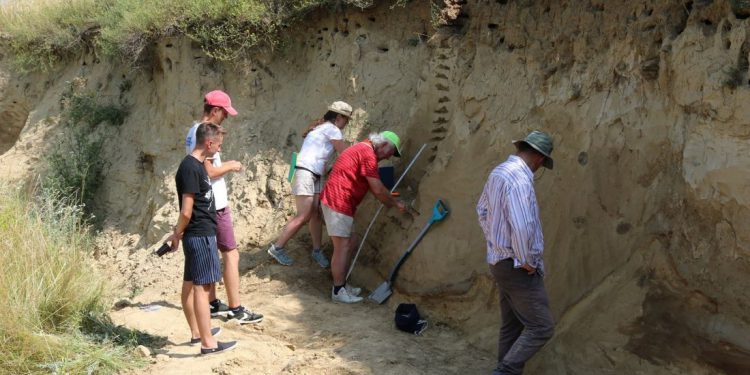 дослідники