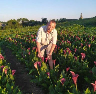 квіти висадив