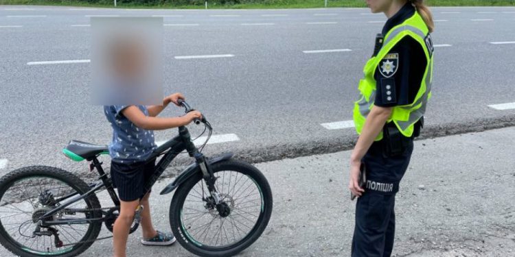 автодорога