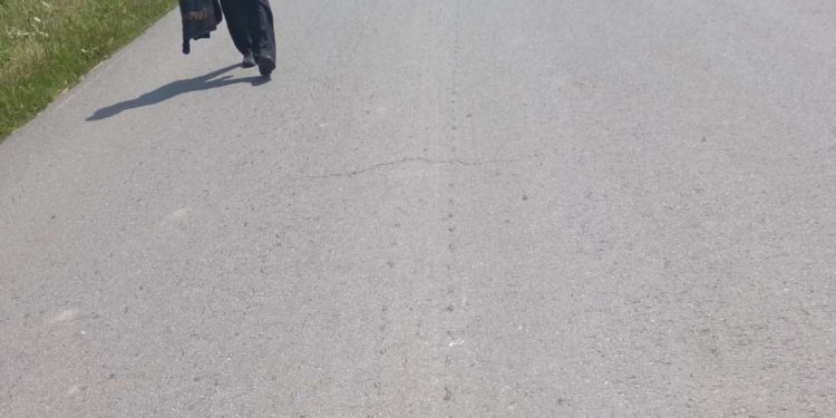 автодорога