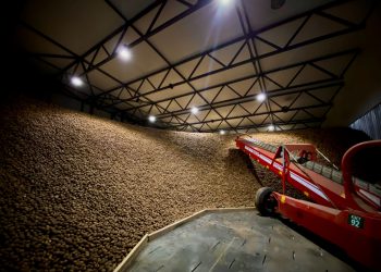 Української картоплі не хочуть в Європі