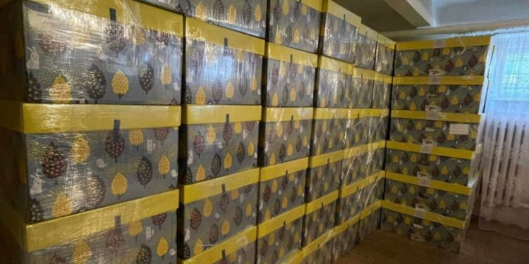 в пологовому