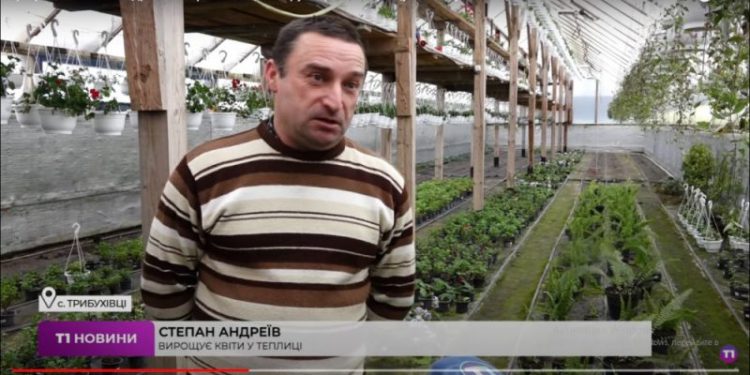 вирощує квіти