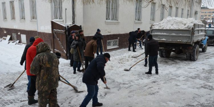 організувили прибирання