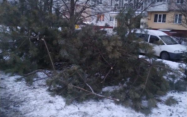 в дворі вандали