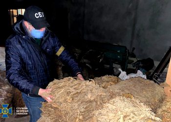 вирощування тютюну