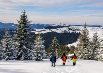 додаток порятунок