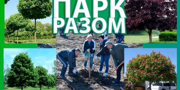 парк в Чорткові