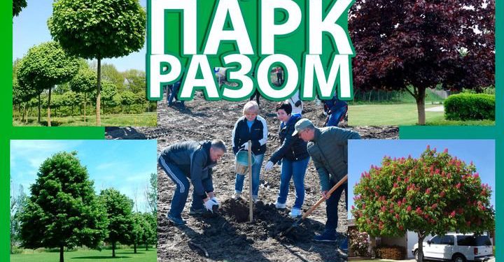 парк в Чорткові