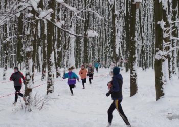 орієнтування