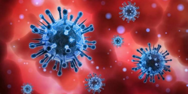 На Тернопільщині зафіксували спалах африканської чуми