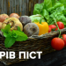 Петрівка: піст – це загартовування і вдосконалення нашої волі