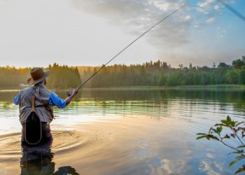 Знову можна ловити рибу на Тернопільщині: інформація для рибалок