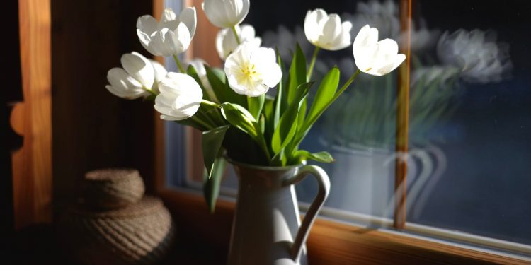 Квіти для біженців