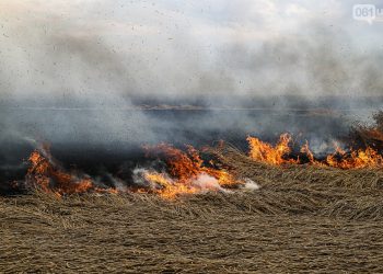 На Запоріжжі внаслідок ворожих обстрілів згоріло поле з пшеницею та склад з насінням (фоторепортаж та відео)
