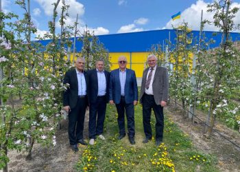 У садах Петра Гадза вже збирають перші яблука. Частину врожаю віддадуть українським воїнам