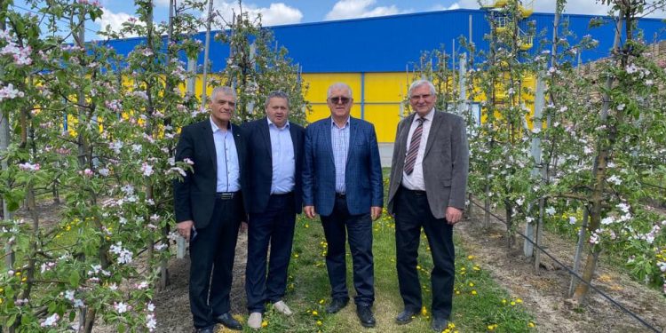 У садах Петра Гадза вже збирають перші яблука. Частину врожаю віддадуть українським воїнам