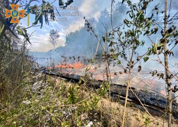Спалахнув, наче сірник: у Скоморохах на Бучаччині горів будинок