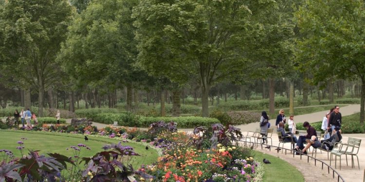 Яким стане тернопільський Старий парк: фото проектів