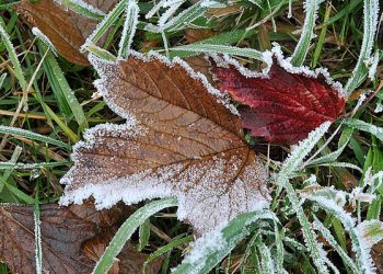 Коли будемо з теплом цього року: дати від Кабміну
