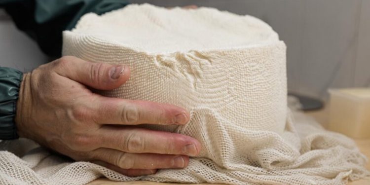 Як відбувається процес виготовлення сиру від “Семеро козенят”