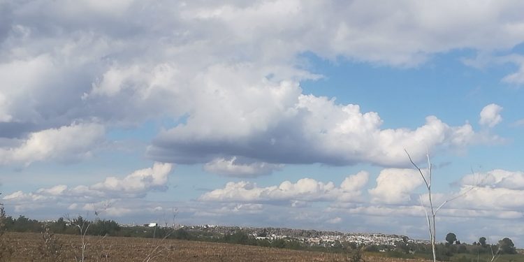 У чому небезпека сміттєзвалища в Малашівцях, та чому до цього питання байдужа влада?