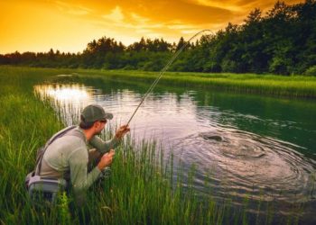 Втопився у ставку через велику рибу