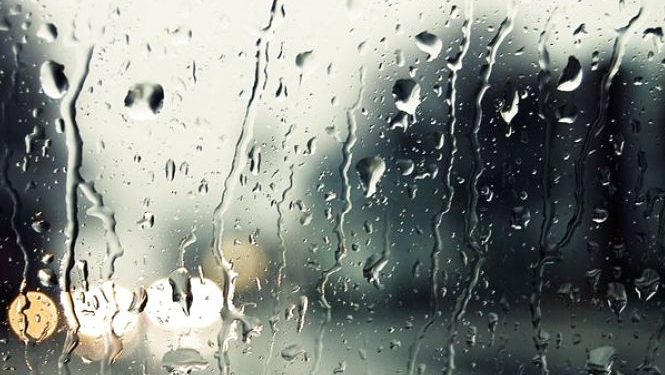 Дощі та похолодання: осінь прийшла на Тернопільщину