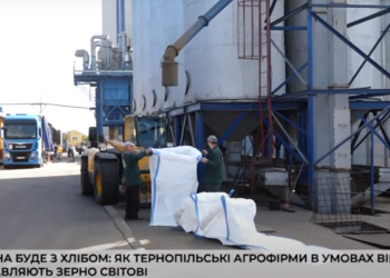Україна буде з хлібом: як тернопільські агрофірми в умовах війни доставляють зерно світові