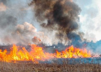 На Тернопільщині жінка загинула, коли спалювала сміття