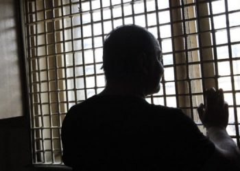 5 років тюрми чоловікові за те, що вбивав собак на м’ясо