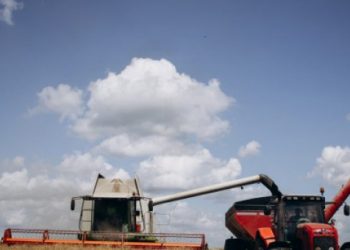 У «Контінентал» завершилася перша хвиля жнив та триває посів озимих під урожай-2023