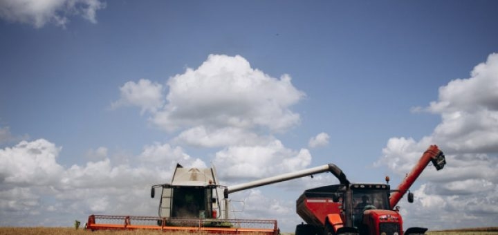У «Контінентал» завершилася перша хвиля жнив та триває посів озимих під урожай-2023