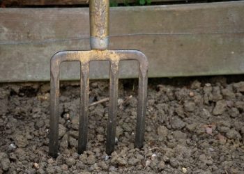 Засадив вила у горло сусідові через межу