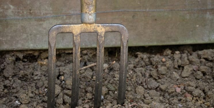 Засадив вила у горло сусідові через межу