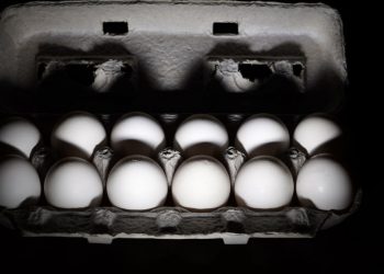 Яйця не викликають алергії